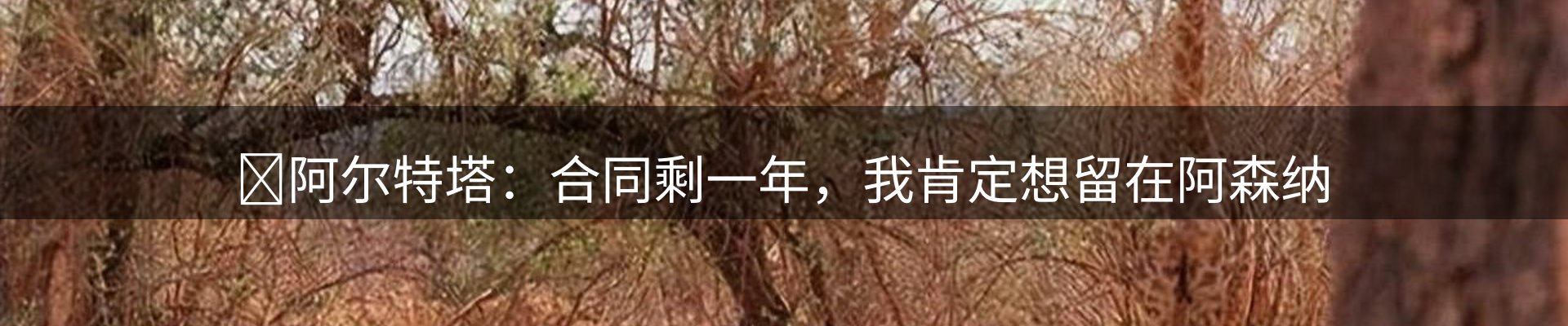 新闻资讯