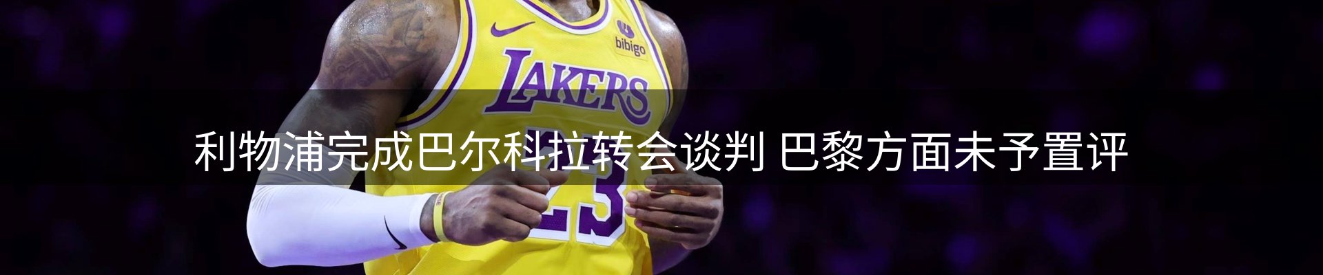 焦点摘要