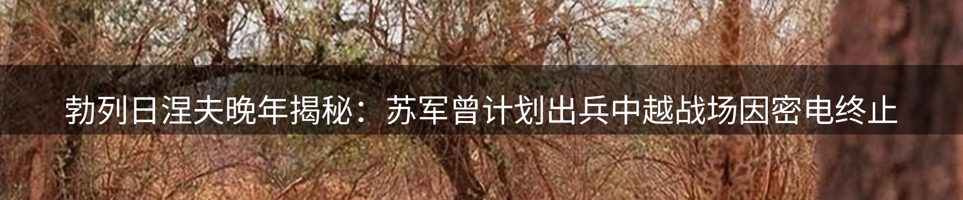 新闻资讯
