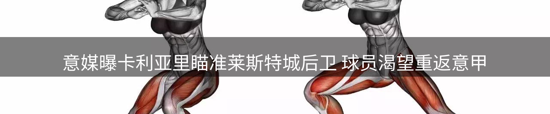 新闻资讯