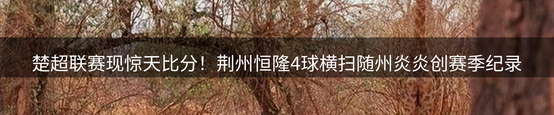新闻资讯