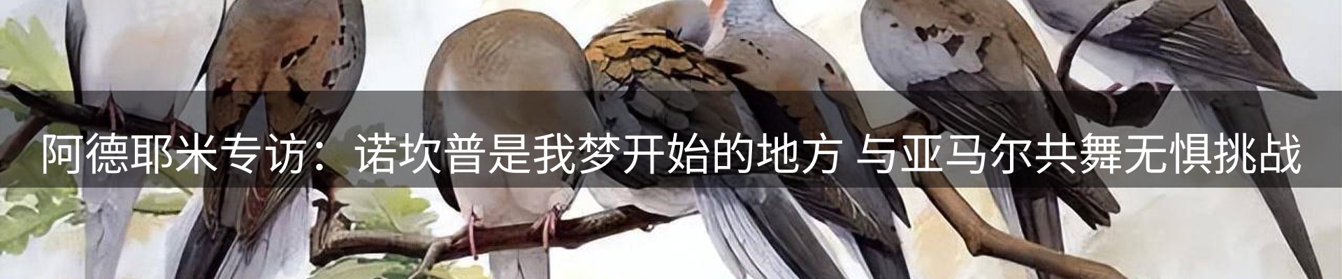 新闻资讯